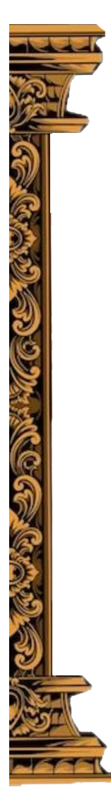 Cover Pillar Left
